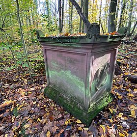 Der Goethestein im Wald oberhalb von Rolandseck.