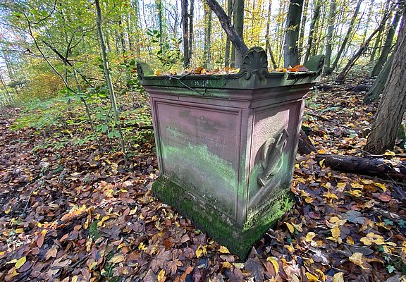 Der Goethestein im Wald oberhalb von Rolandseck.