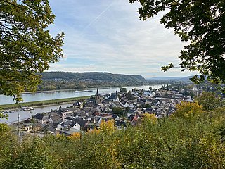 Blick vom Friedrichsberg auf Oberwinter