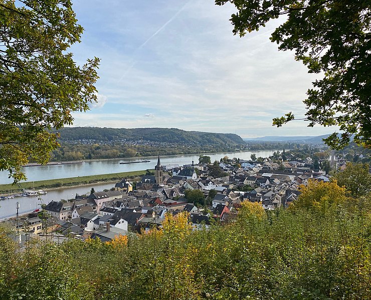 Blick vom Friedrichsberg auf Oberwinter