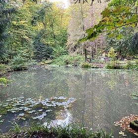 Fischteiche