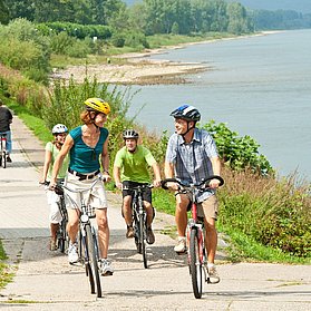 Rheinradweg bei Bad Breisig
