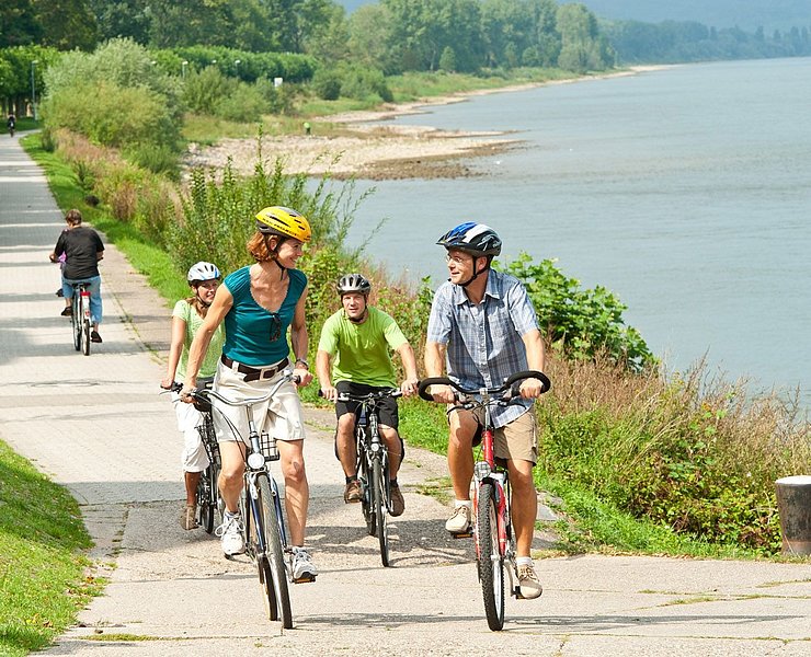 Rheinradweg bei Bad Breisig