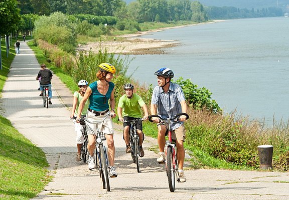 Rheinradweg bei Bad Breisig