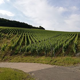 Umgebung