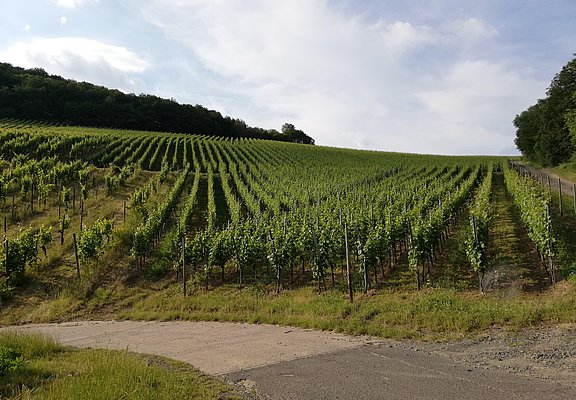 Umgebung