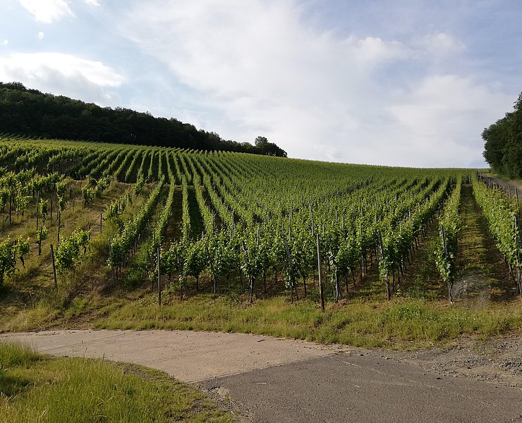 Umgebung