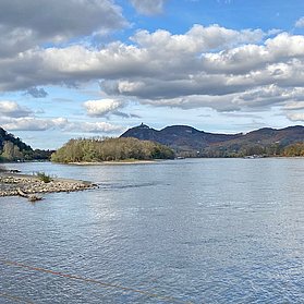 Der Rhein bei Rolandseck