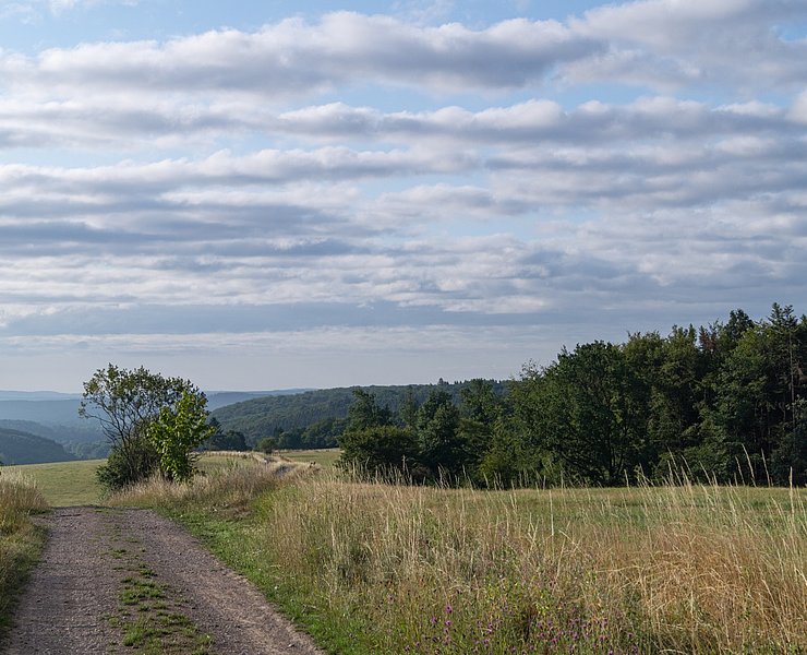 Blick über die Naturlandschaft