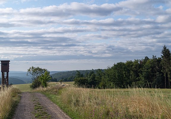 Blick über die Naturlandschaft