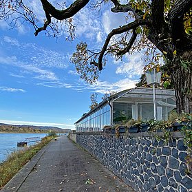 Restaurant Bellevuechen am Rhein bei Rolandseck