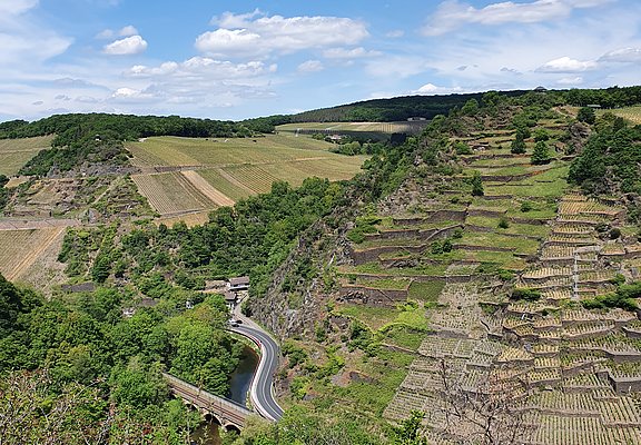 Katzley, Ahrtal, Wandern, AhrSteig, Ahr, Walporzheim