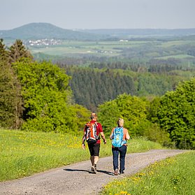 Fernsicht auf den Aremberg auf den Spuren der | Grünen Hölle