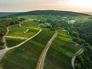 Blick auf den Rotweinwanderweg