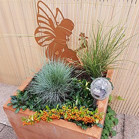 HarmonieTerrasse Fee
