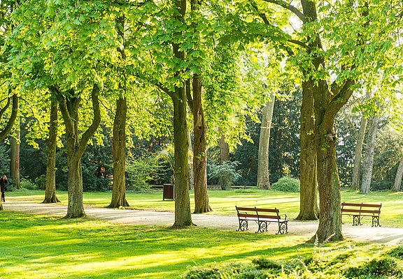 Allee