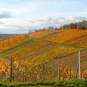 Rotweinwanderweg